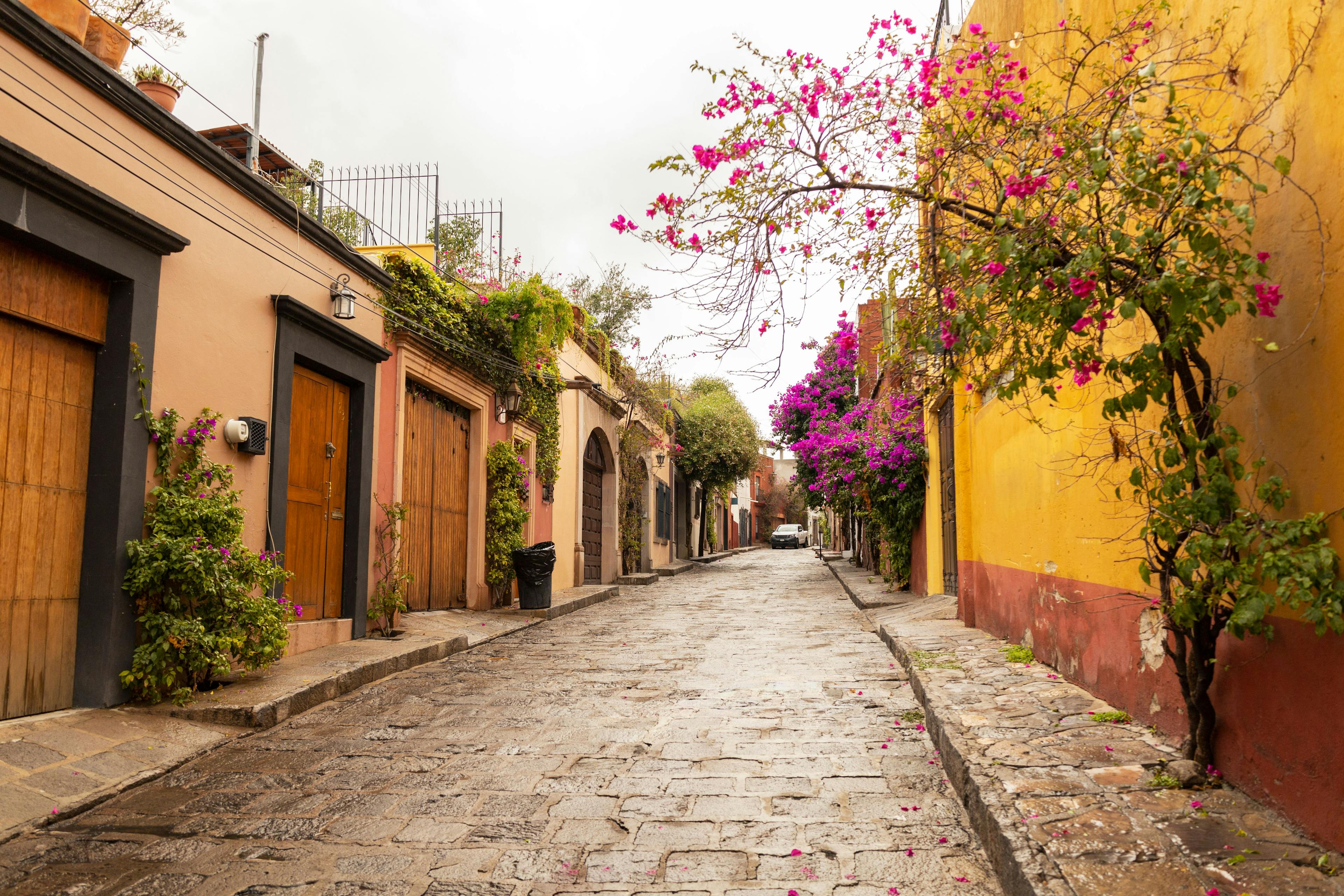 4 Best Cities for Digital Nomads in Mexico